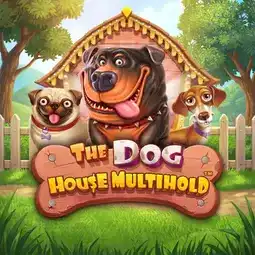The Dog House Multihold game at Royal Reels Casino for Australia players The Dog House Multihold game at Royal Reels Casino for Australia players